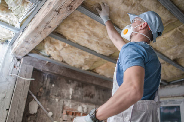 Best Specialized Insulation Services in Cleveland, GA