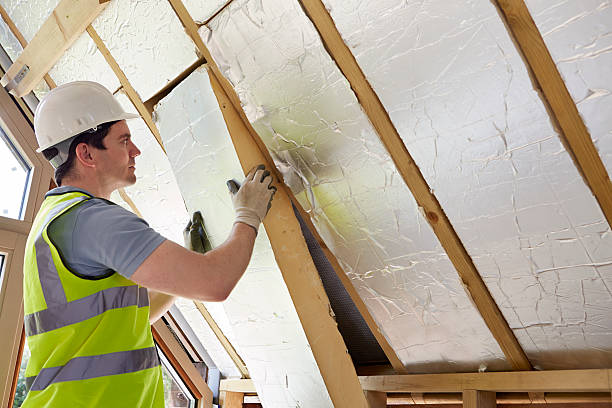 Best Residential Insulation in Cleveland, GA